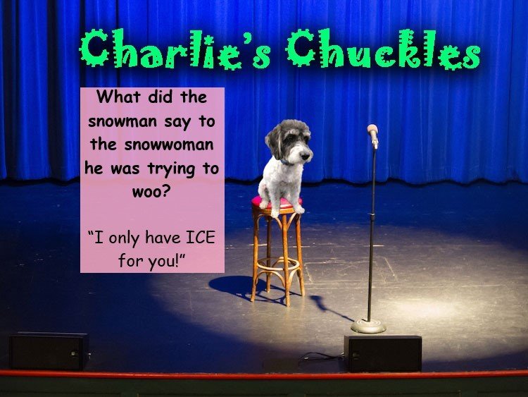 Charlie’s Chuckles – January 2022