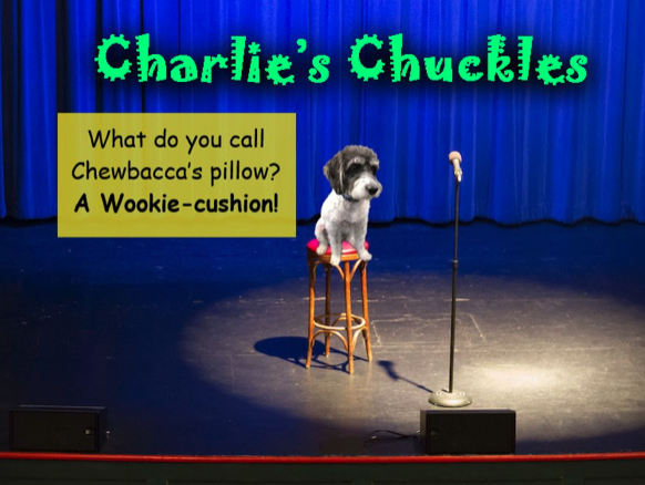 Charlie’s Chuckles – June 2022