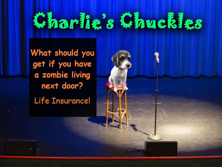 Charlie’s Chuckles – October 2022