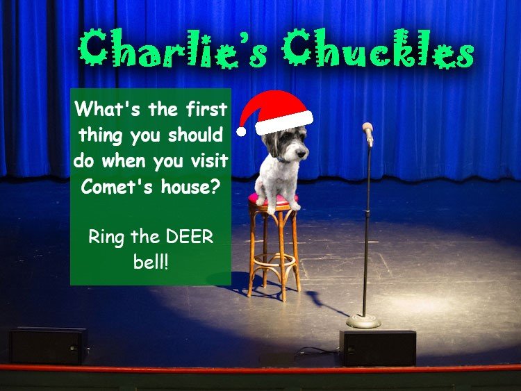 Charlie’s Chuckles – December 2022