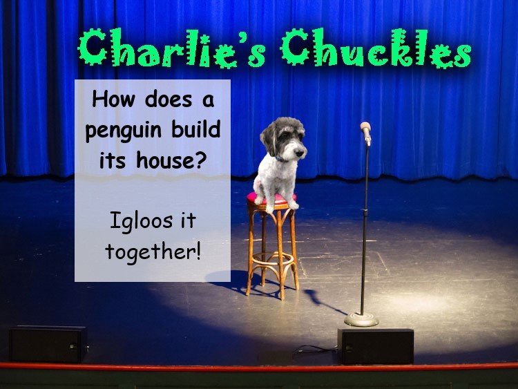 Charlie’s Chuckles – January 2023