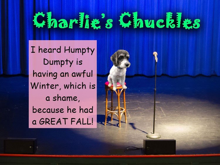 Charlie’s Chuckles – February 2023