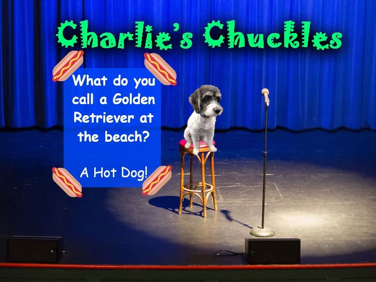 Charlie’s Chuckles – July 2023